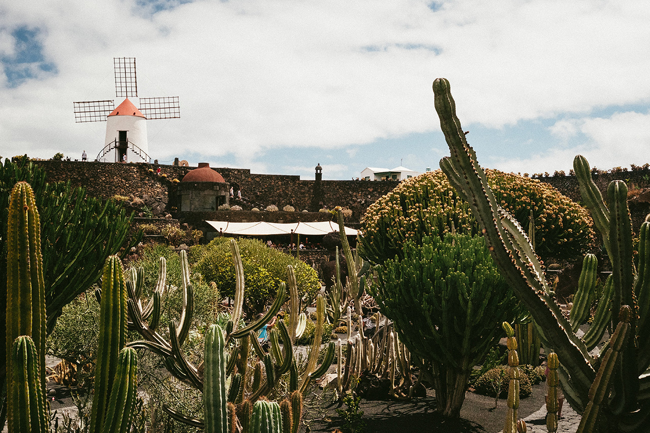 ohmyevent-lanzarote-cactus